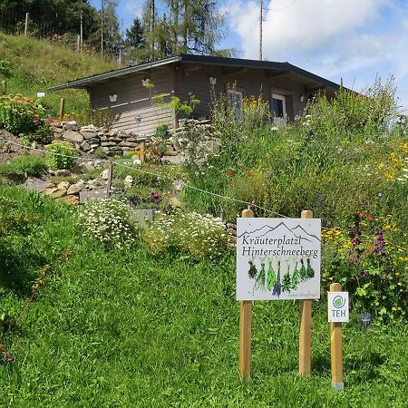 Streitberghof Lejlighed Bad Gastein Eksteriør billede