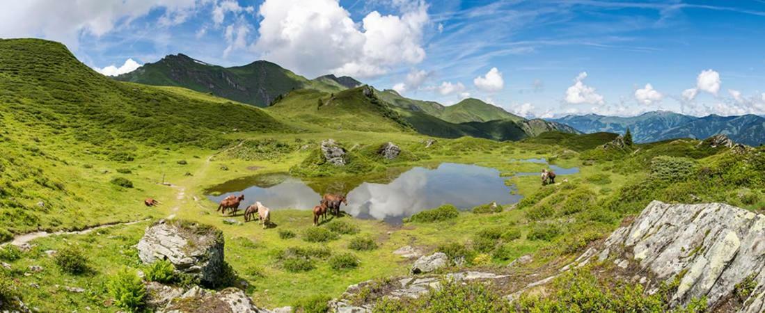 Streitberghof Lejlighed Bad Gastein Eksteriør billede